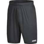 JAKO Sporthose Manchester 2.0 mit JAKO Logo, ohne Innenslip grau F21