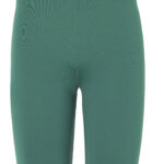 uhlsport Distinction Colors Tights grün F202